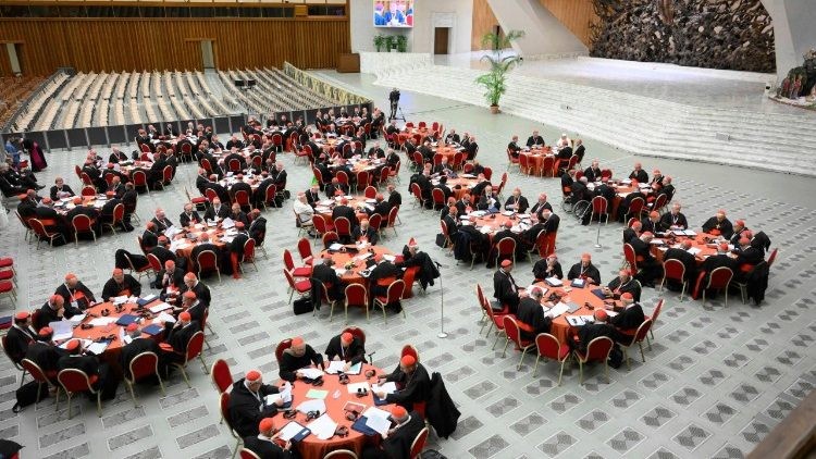 Công nghị Hồng y tập trung vào tình hình thế giới, Magnifica Humanitas và Thượng Hội đồng Giám mục